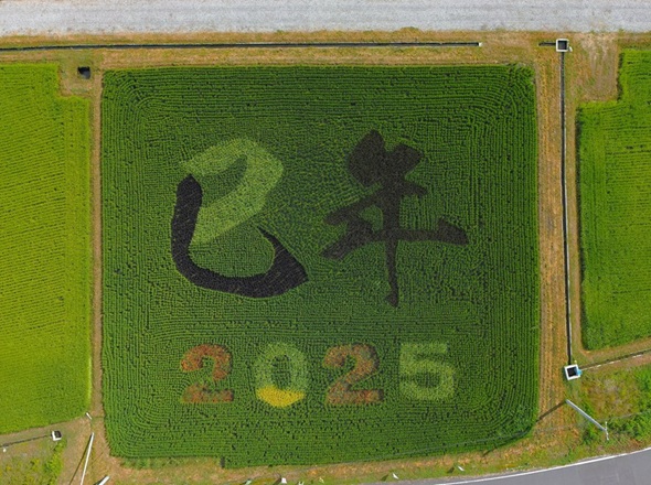 UAV（ドローン）